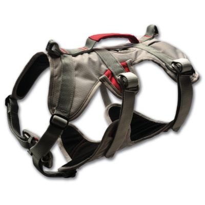 Doubleback Climbing Harness