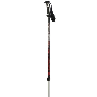 2013 Lockjaw Alu Ski Poles Silver