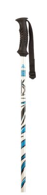 Women's 2013 Chicstyle Ski Poles White