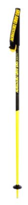 2013 Tac Ski Poles Yellow