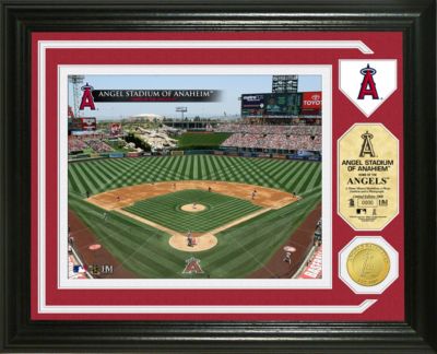Angel Stadium Coin Photo