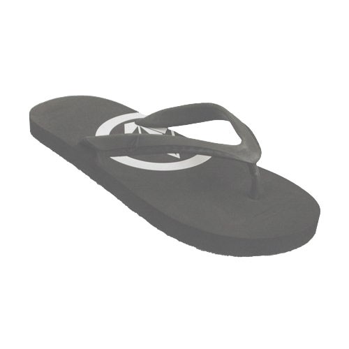 Volcom Mens Shoes