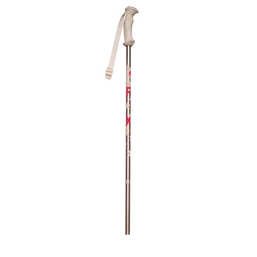 Roxy Kids Ski Poles