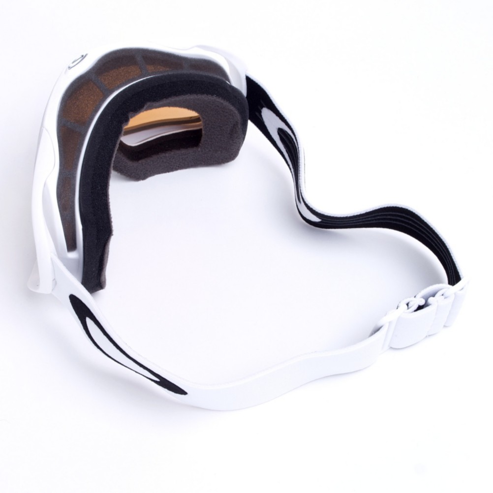 Oakley Crowbar Goggles 2012