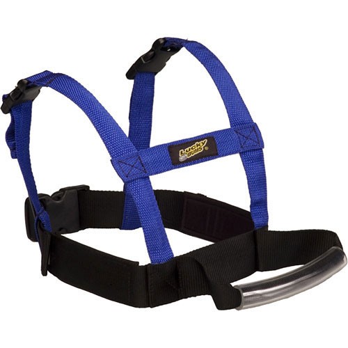  Ski Training Aids