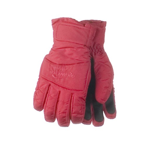Obermeyer Alpine Gloves - Girls  2009