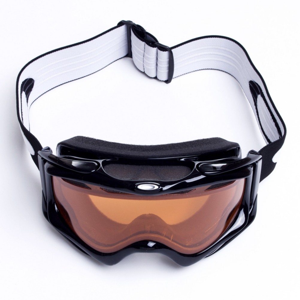 Oakley Ambush Goggles 2013