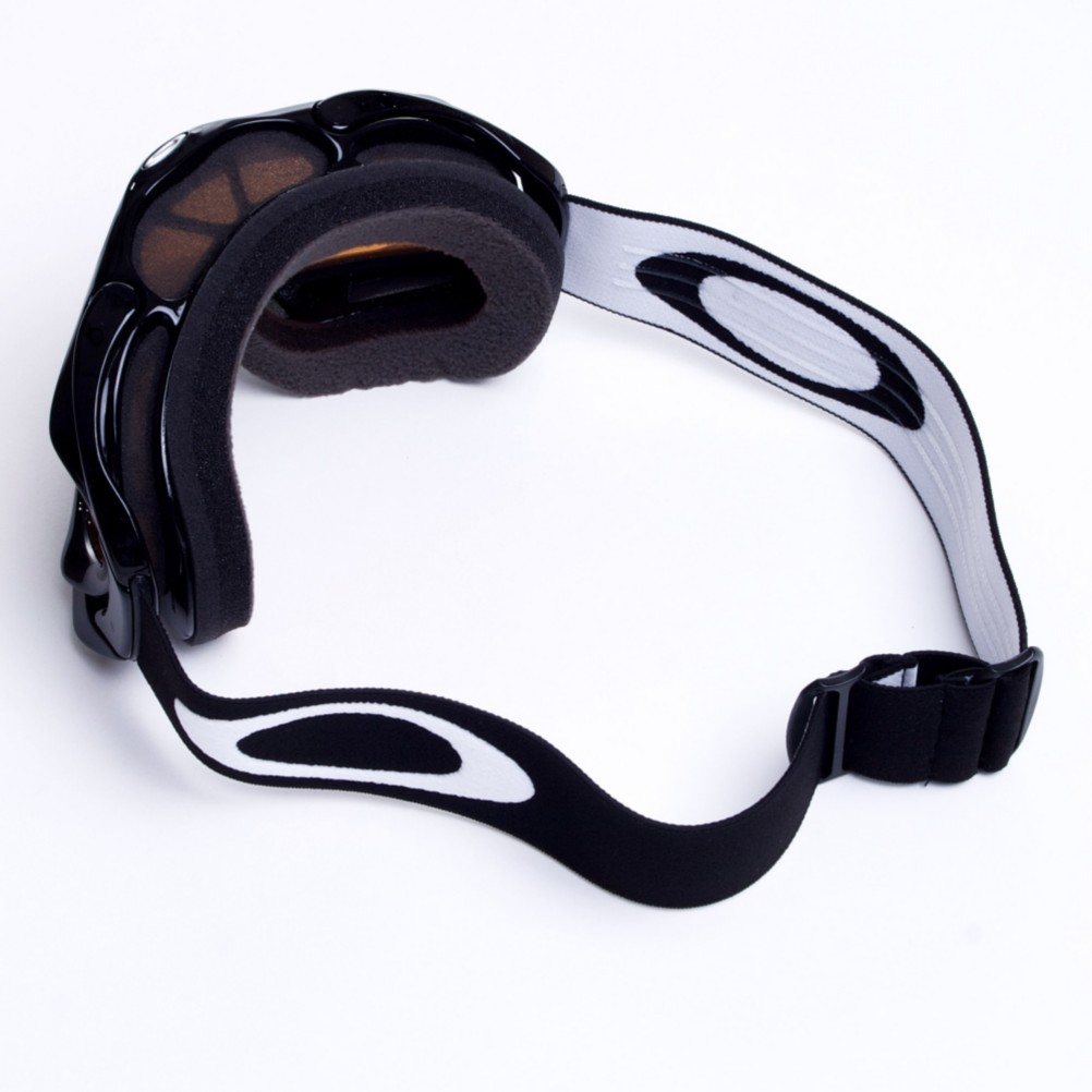 Oakley Ambush Goggles 2013
