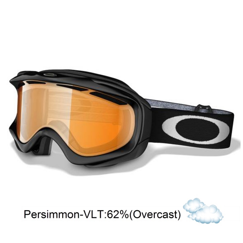 Oakley Ambush Goggles 2014, , medium