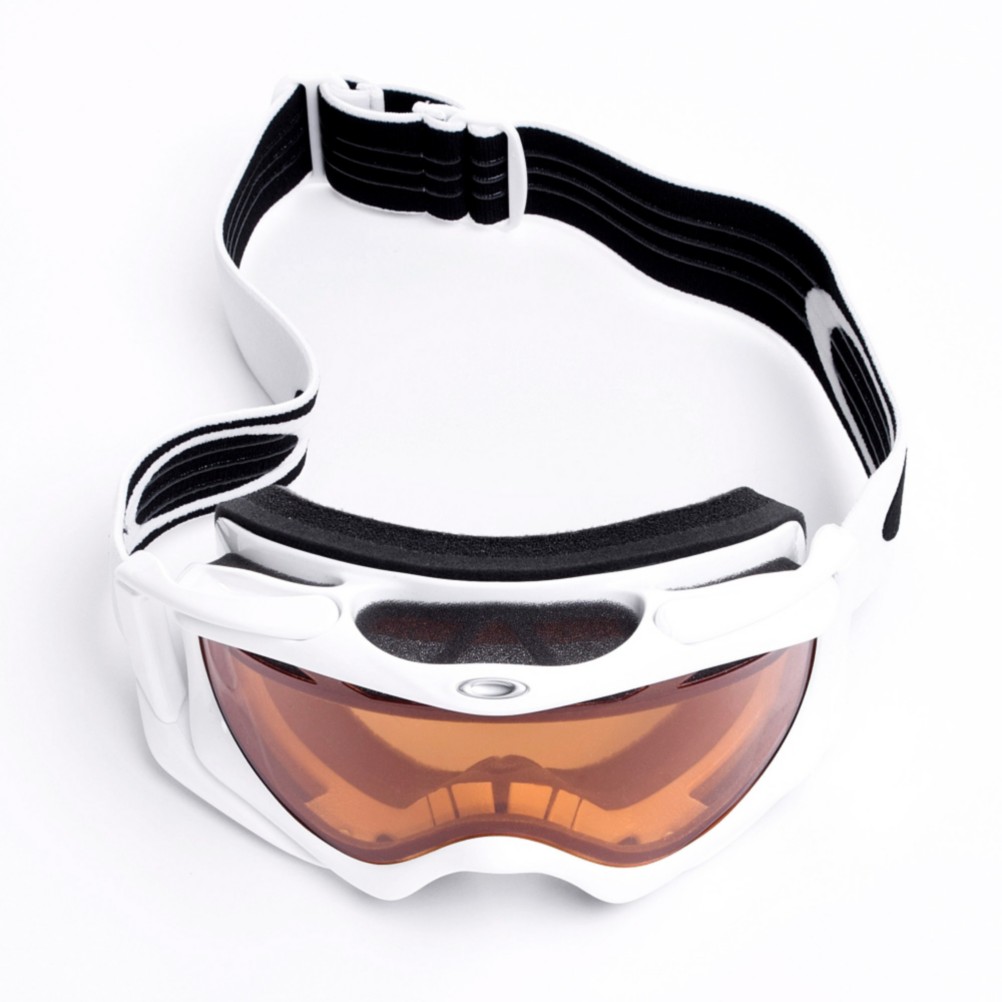 Oakley Ambush Goggles 2013