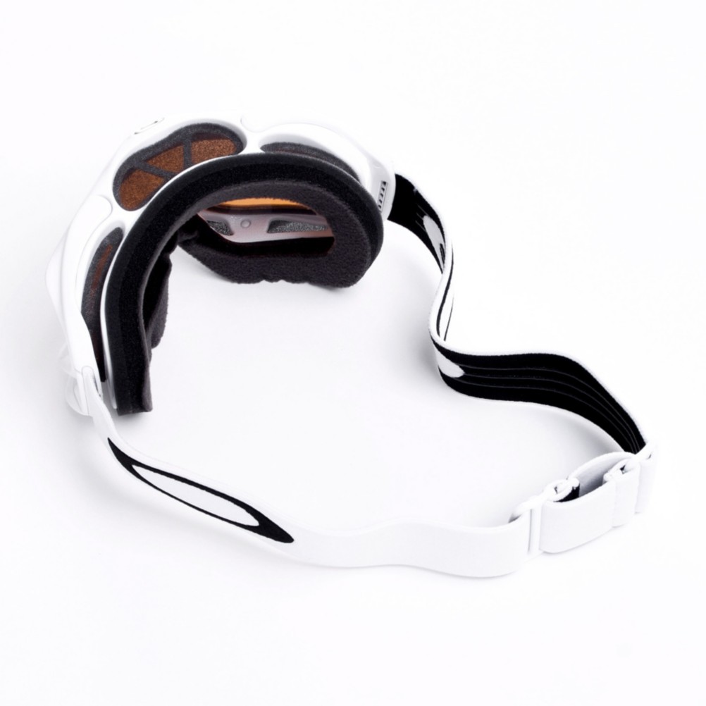 Oakley Ambush Goggles 2013