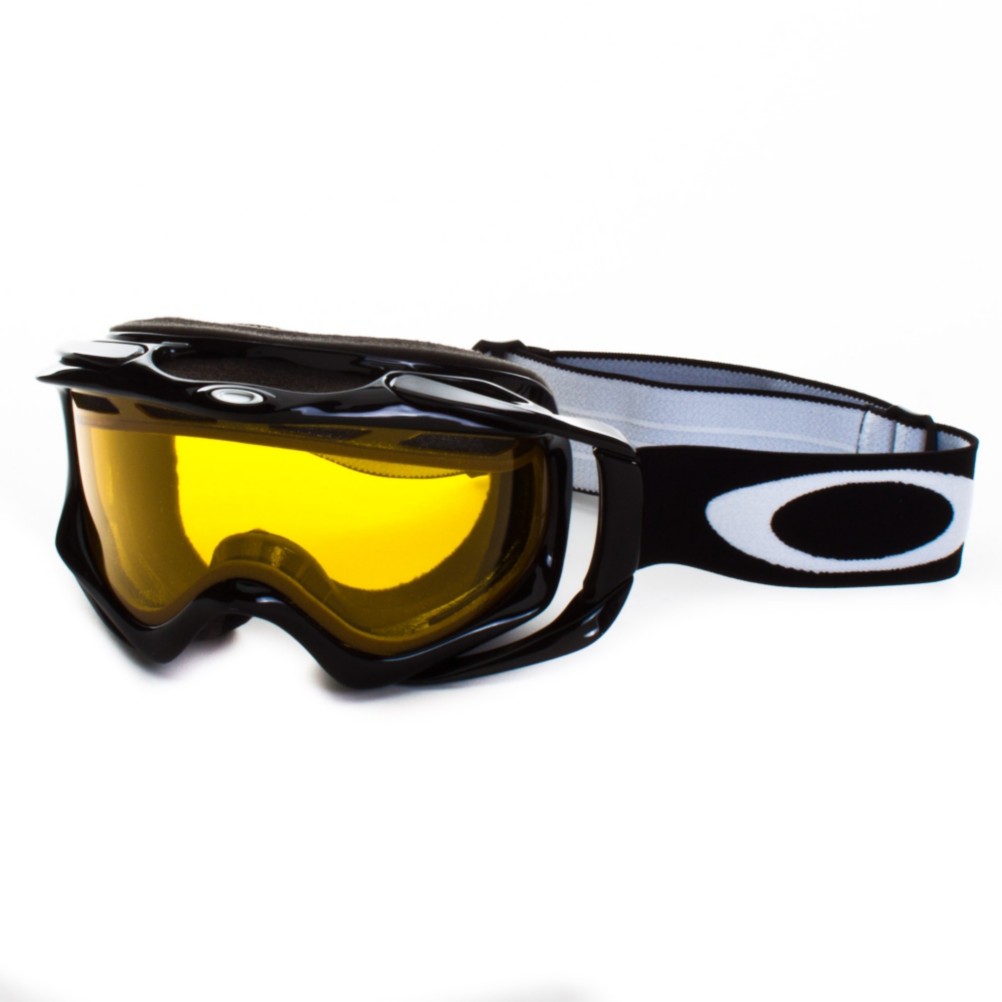 Oakley Ambush Goggles 2011
