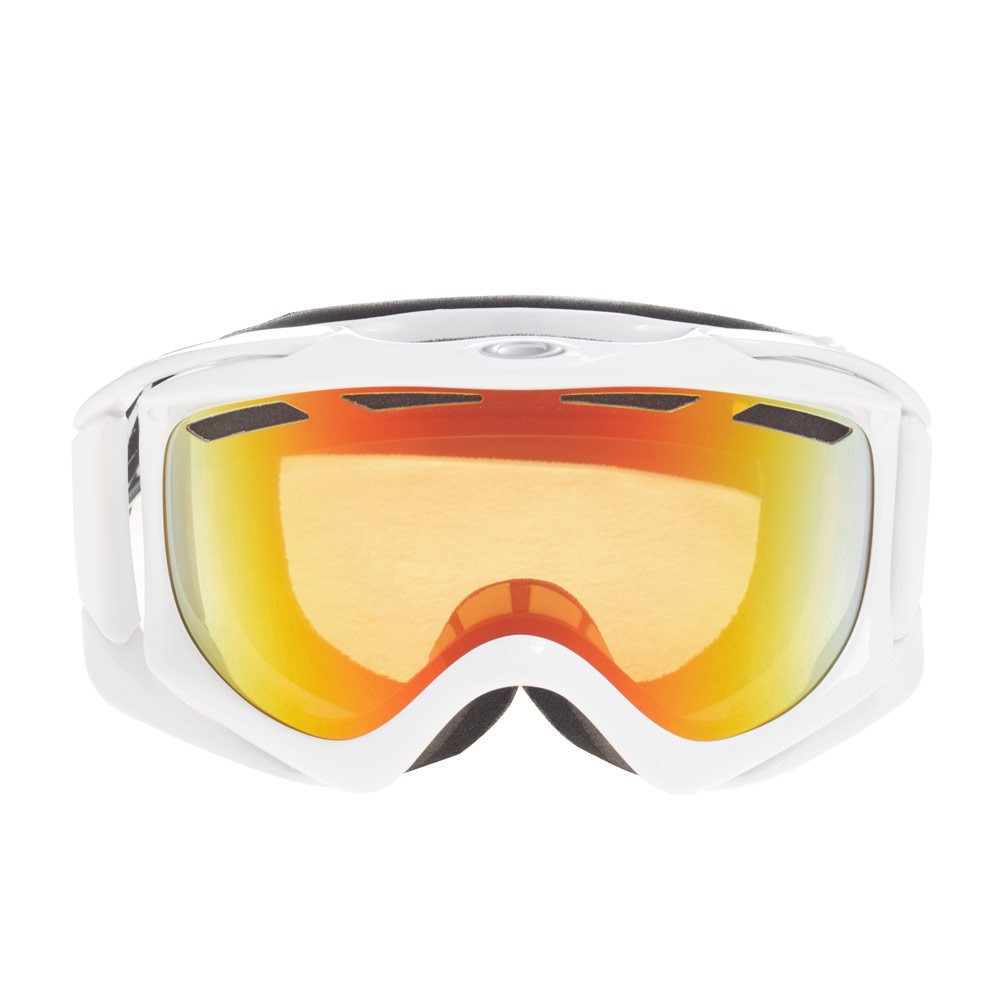 Oakley Ambush Goggles 2013