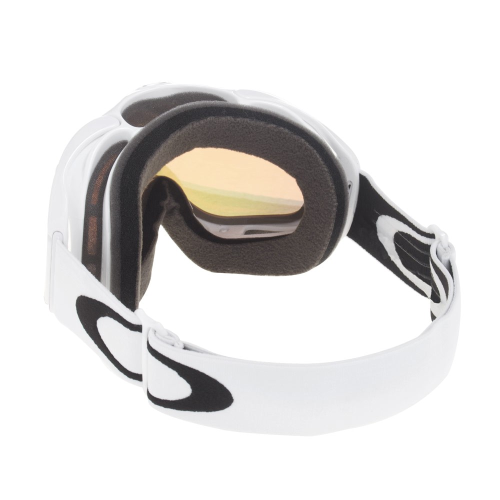 Oakley Ambush Goggles 2013
