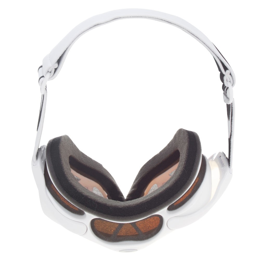Oakley Ambush Goggles 2013