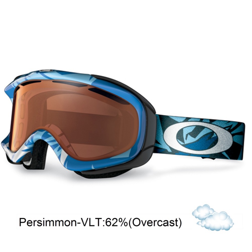 Oakley Ambush Goggles 2013, Glacier Blue-Persimmon, swatch