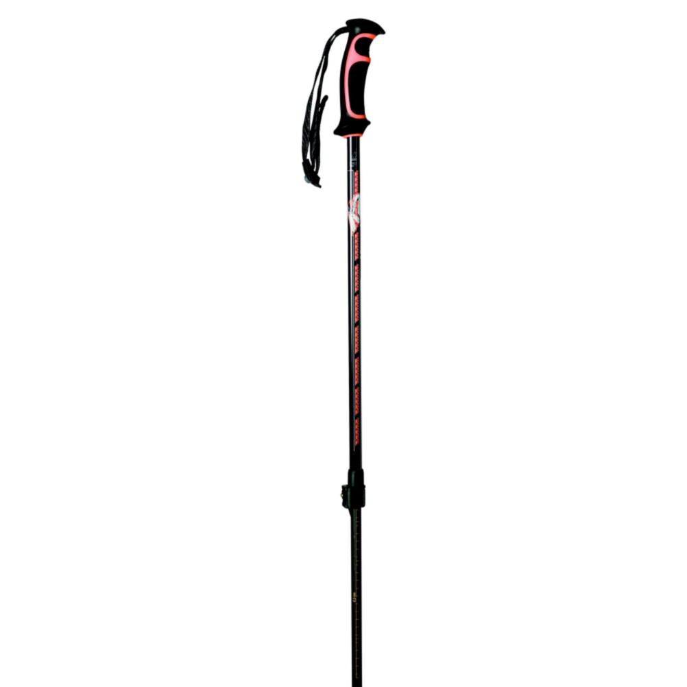 K2 Adult Ski Poles