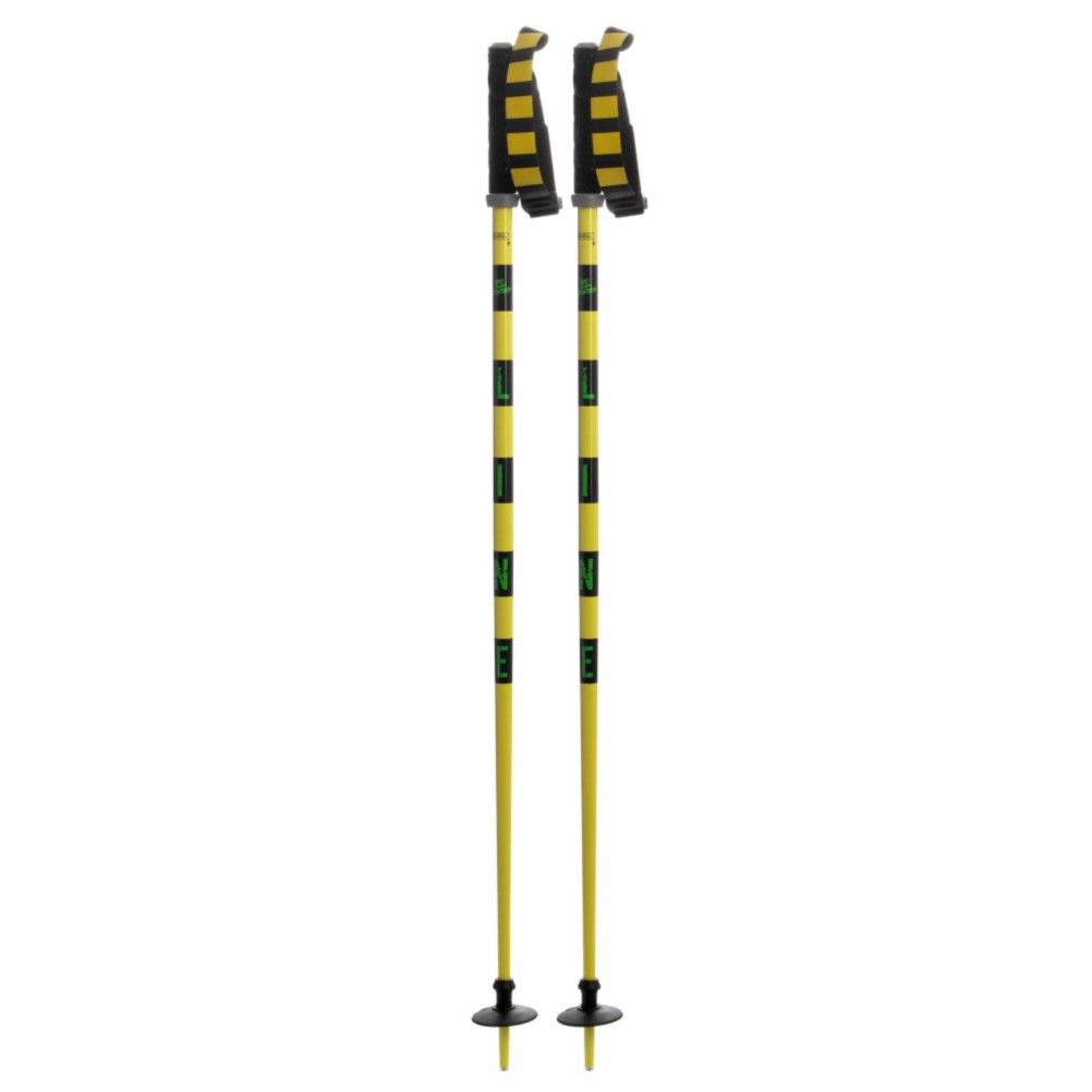 Line Pin Ski Poles 2010