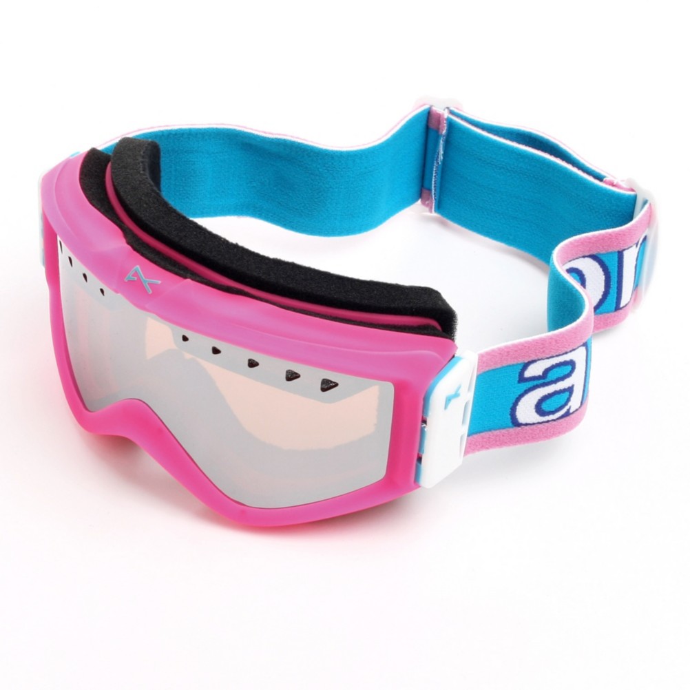Anon Figment Goggles 2010