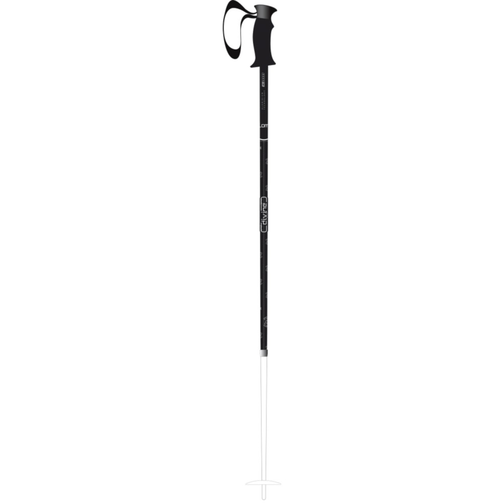 Salomon Adult Ski Poles