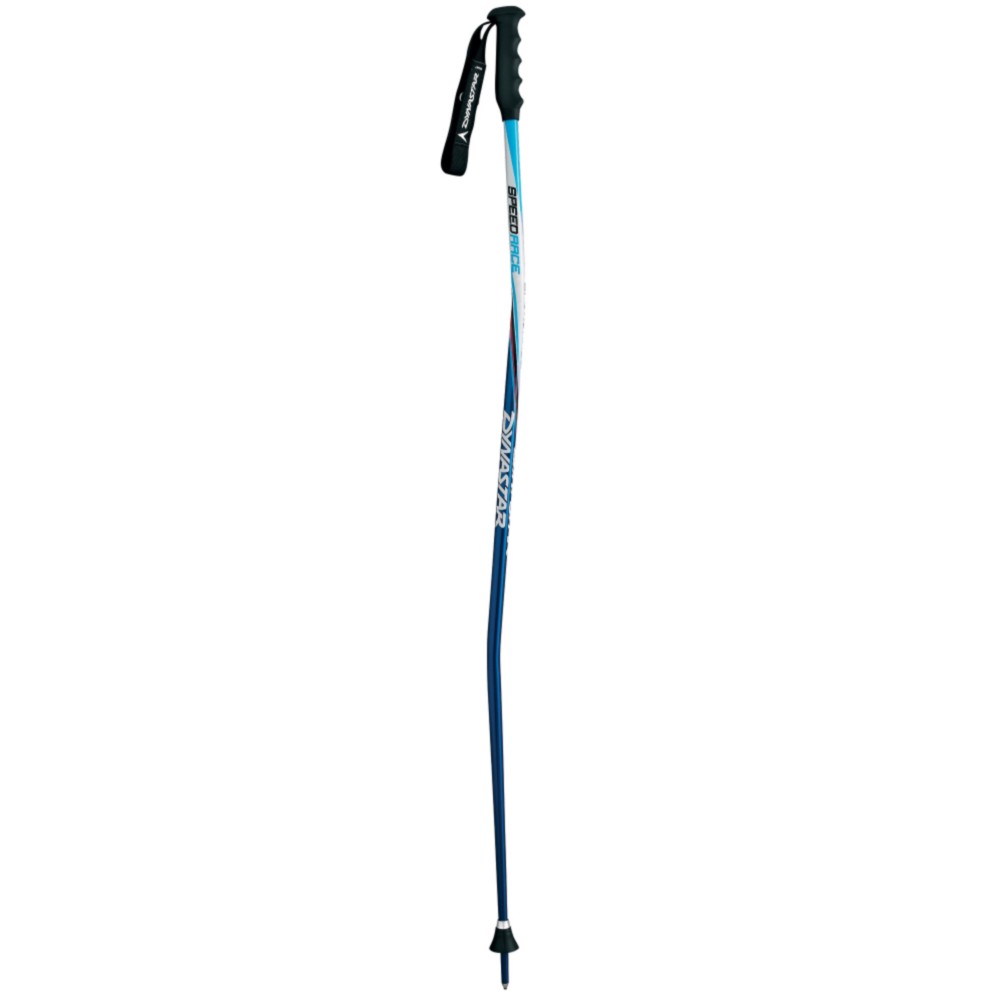 Dynastar Alpine Ski Poles