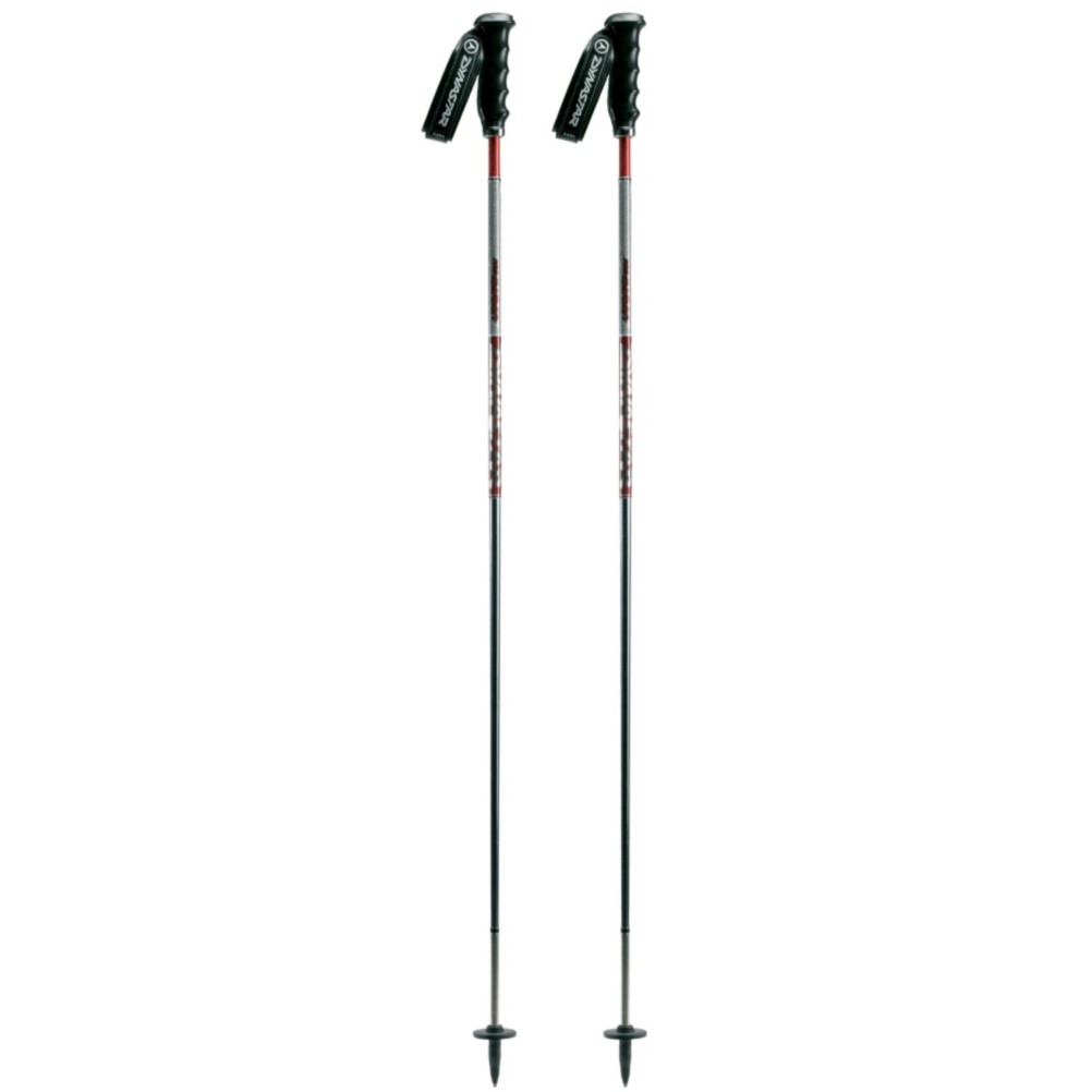 Dynastar Adult Ski Poles