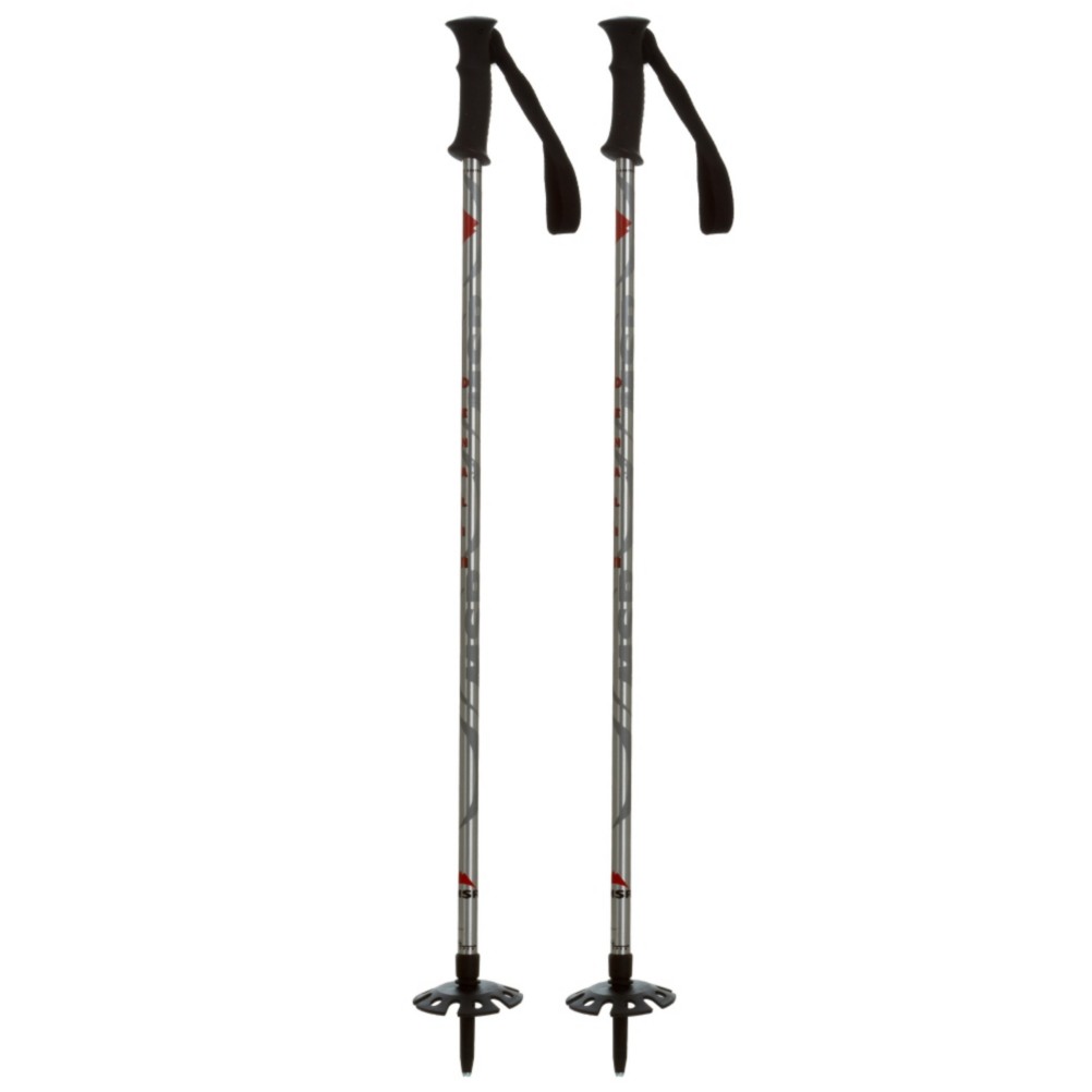 MSR Denali II Snowshoe Poles, Light Grey, medium