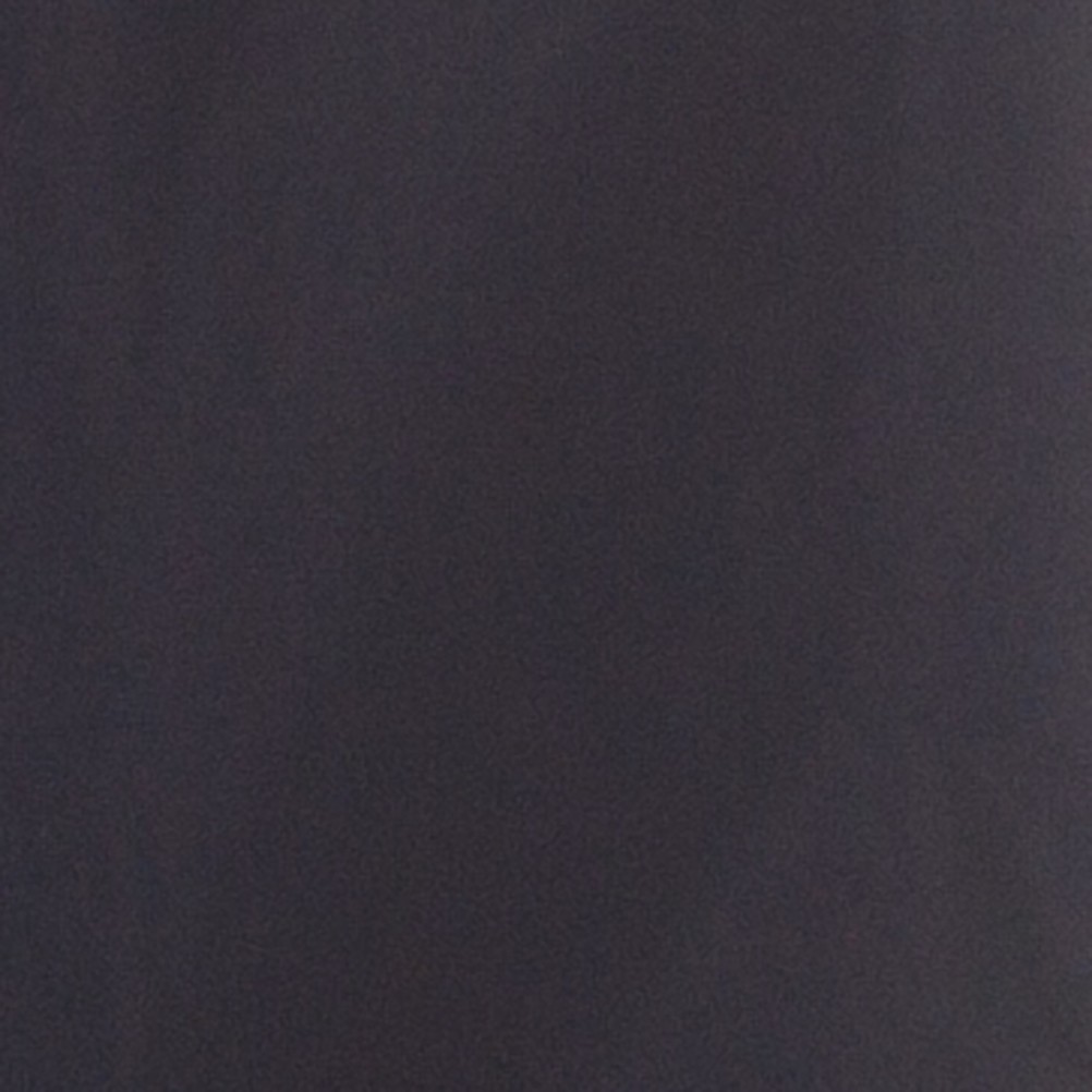 The North Face Freedom Insulated Mens Ski Pants 2013