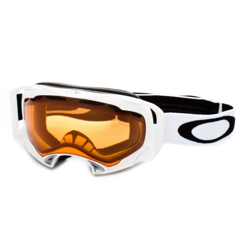 Oakley Splice Goggles 2013