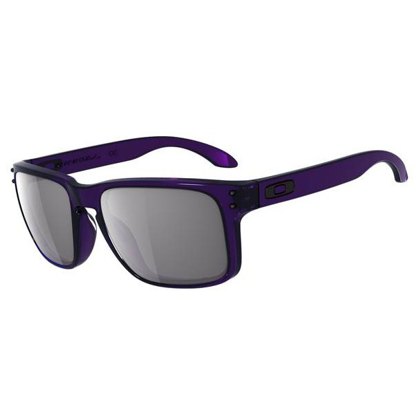 Oakley Holbrook Sunglasses