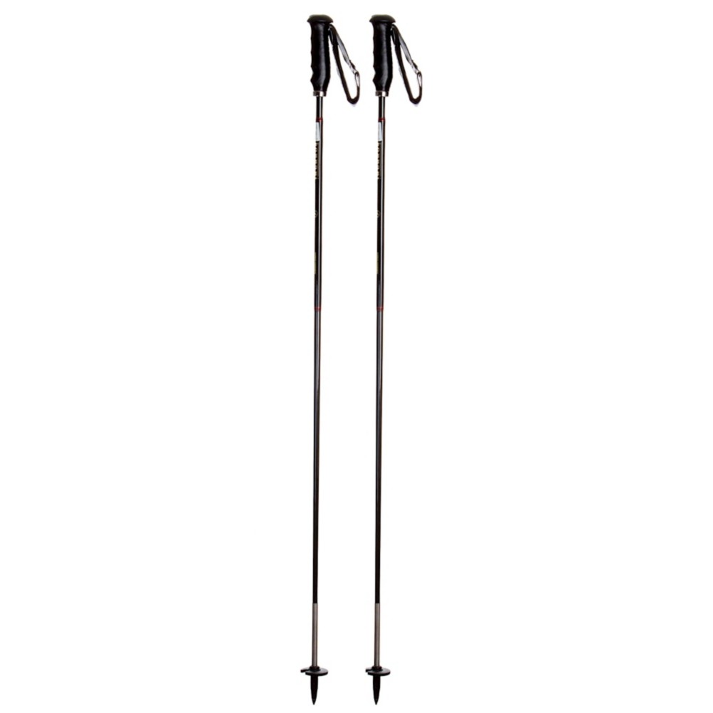 Dynastar Adult Ski Poles