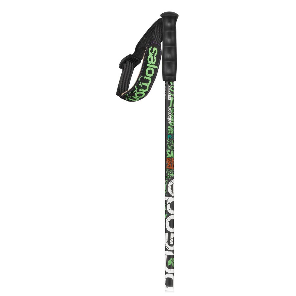 Salomon Brigade Team Ski Poles 2012