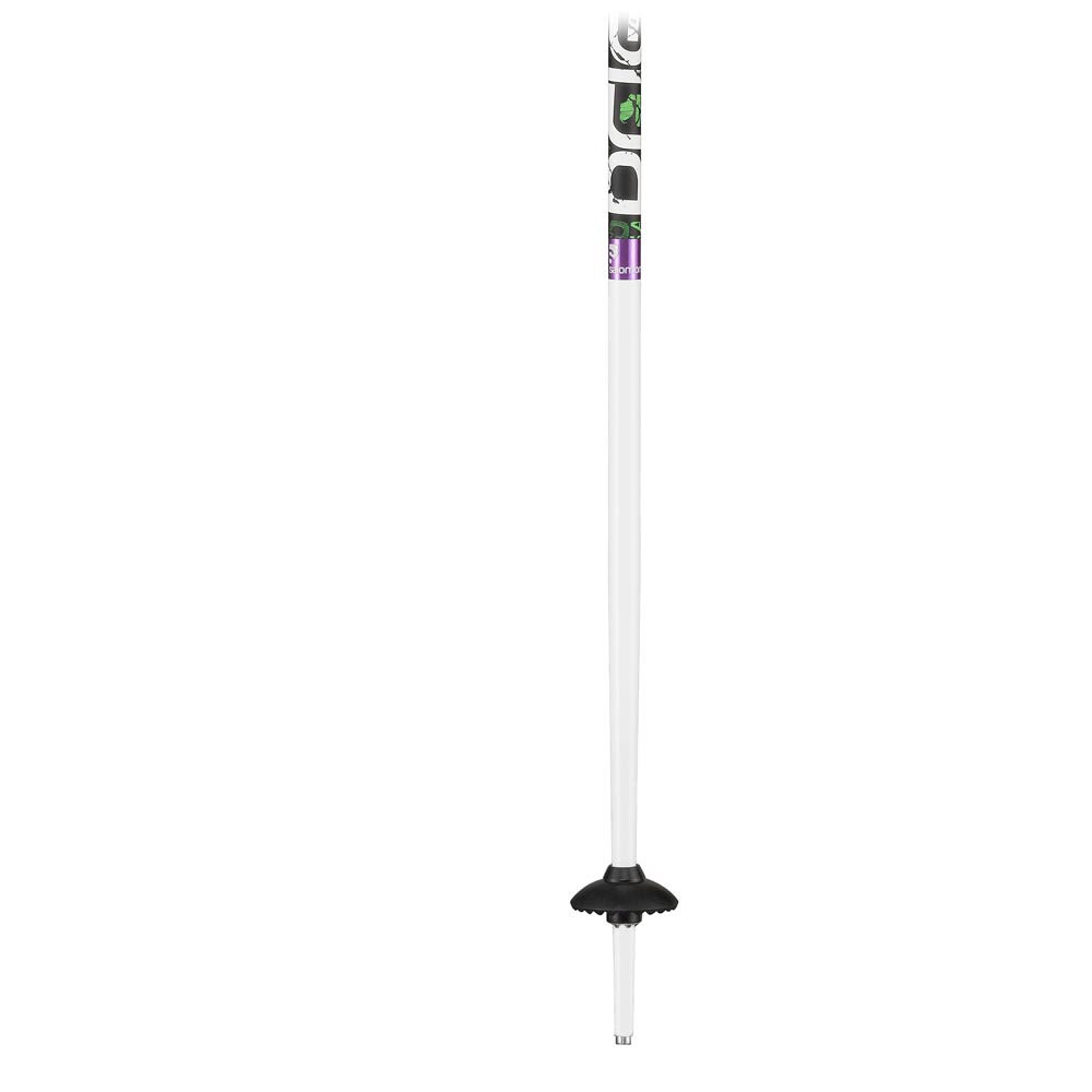 Salomon Brigade Team Ski Poles 2012