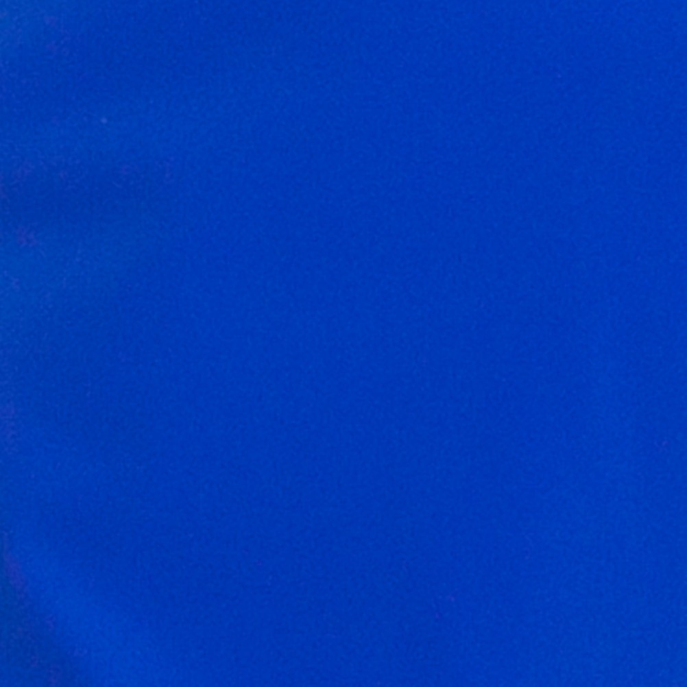 Descente Swiss Mens Ski Pants 2012