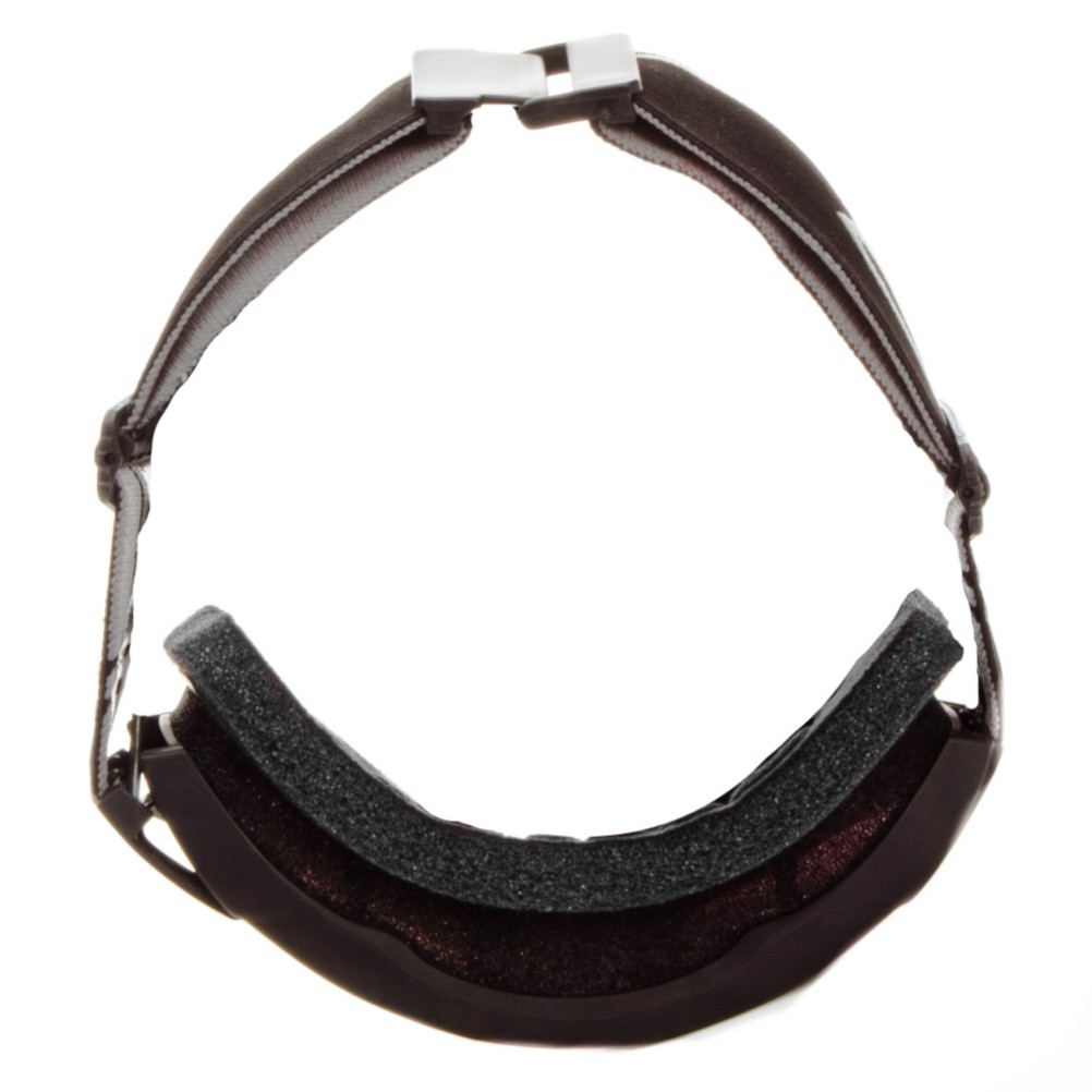 Smith Phenom Goggles 2012