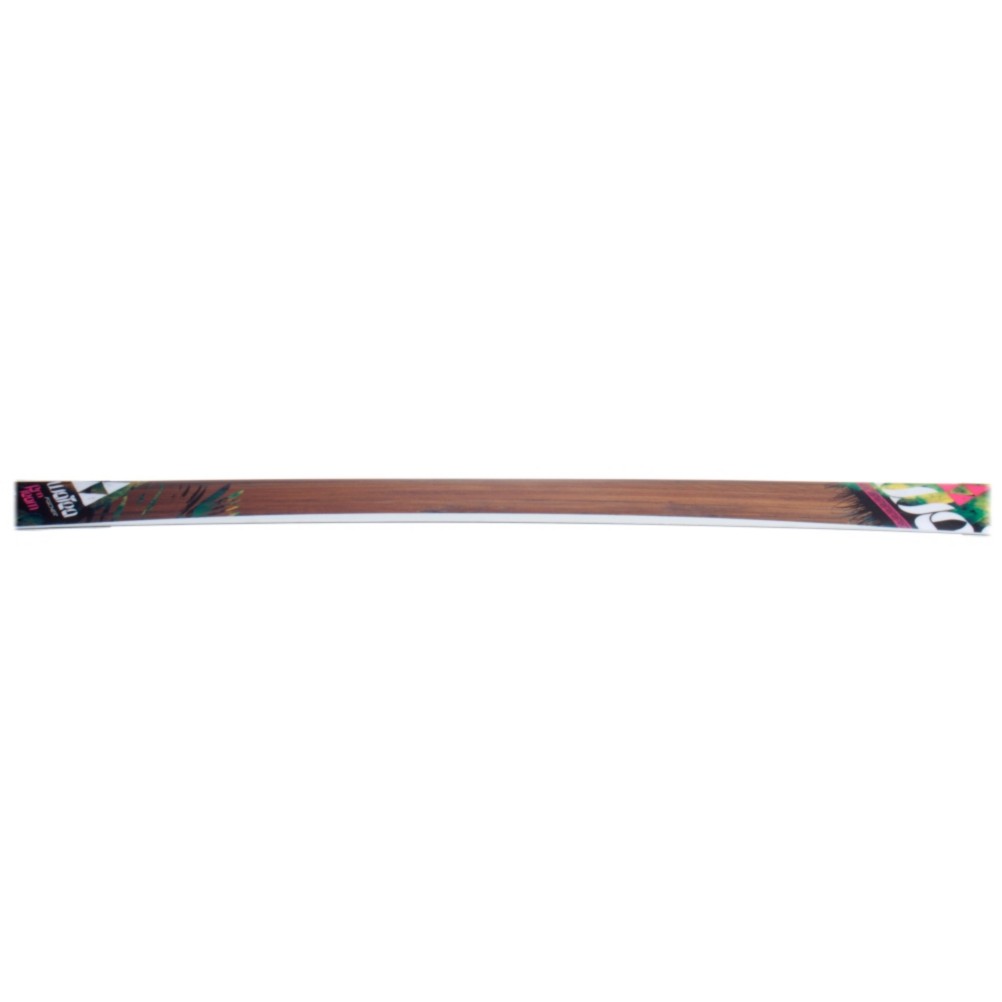 Fischer Watea Pro Team Kids Skis 2012