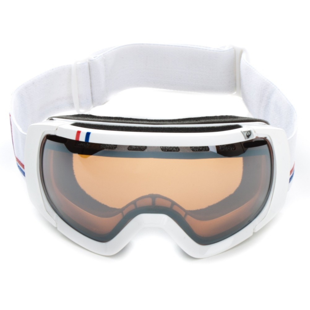 Dragon Rogue Goggles 2012