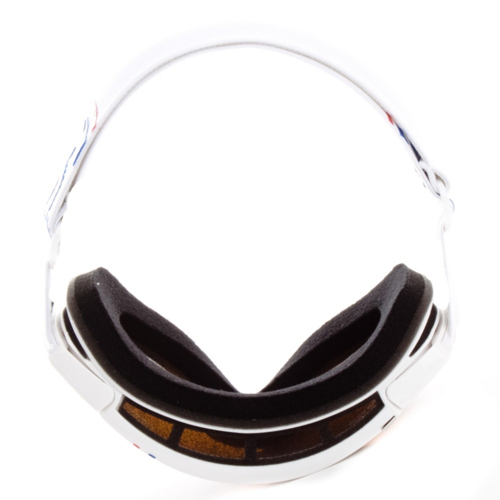 Dragon Rogue Goggles 2012