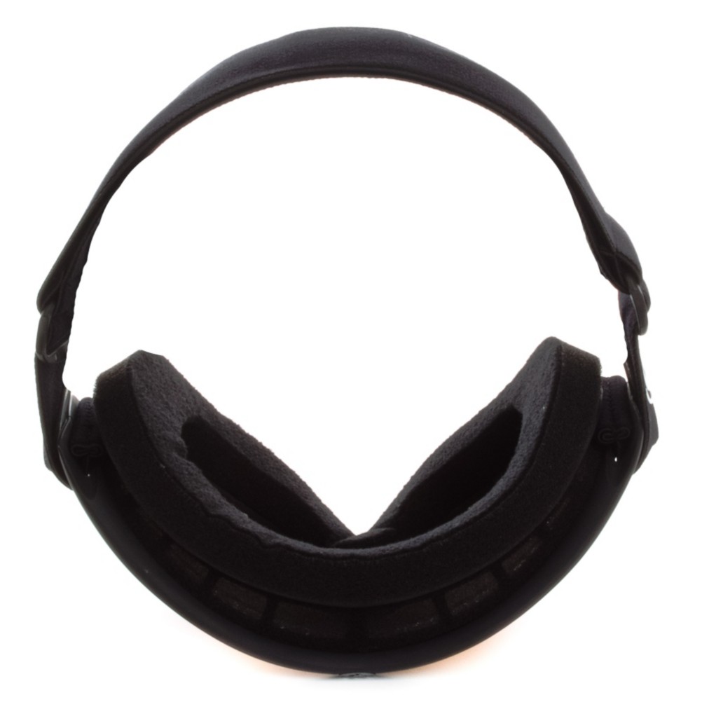 Dragon DX Goggles 2012