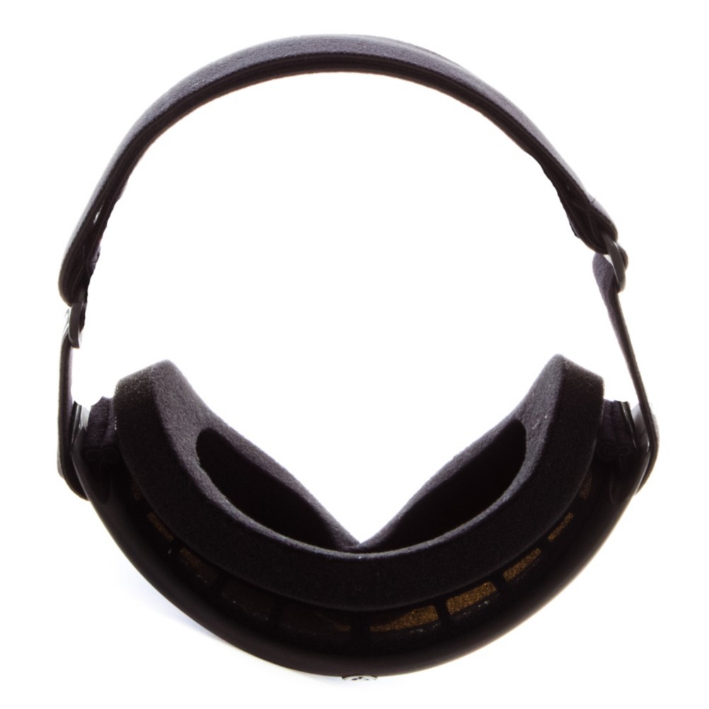 Dragon DX Goggles 2012