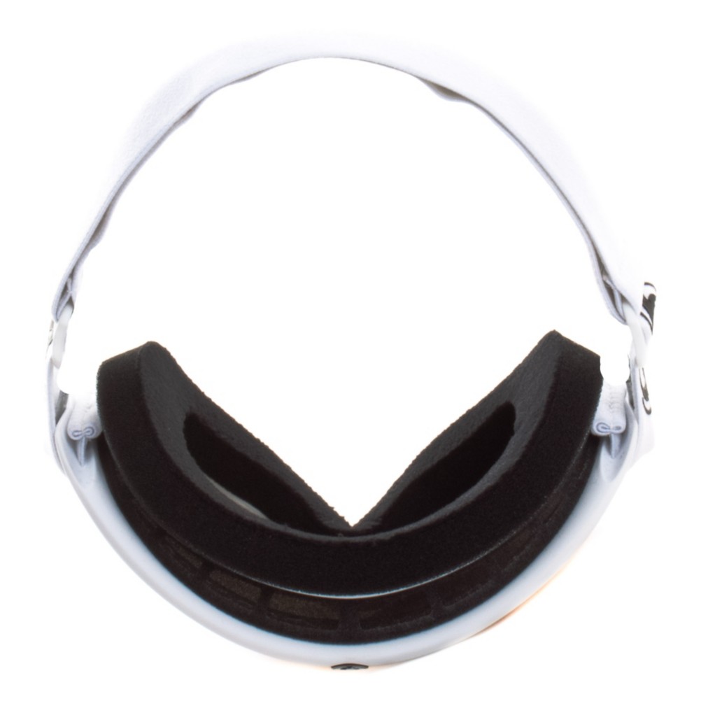 Dragon DX Goggles 2012