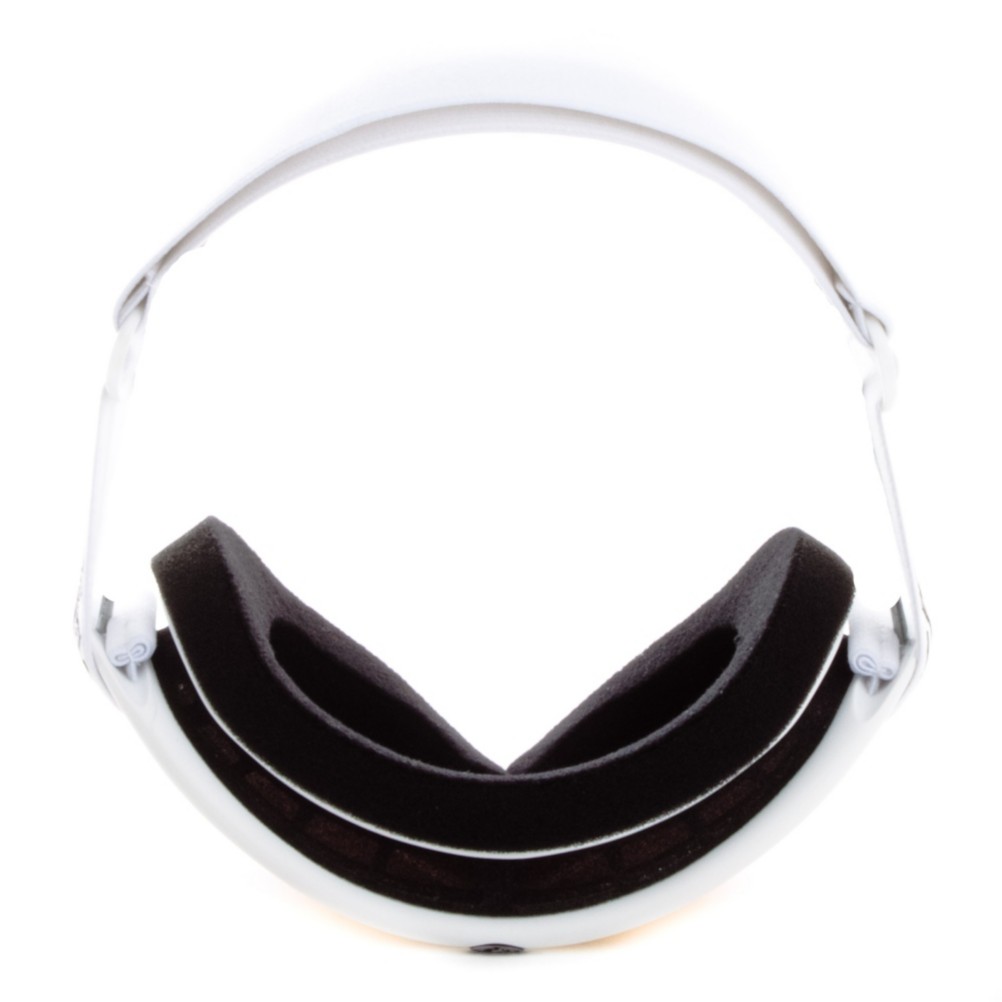 Dragon DXS Goggles 2012