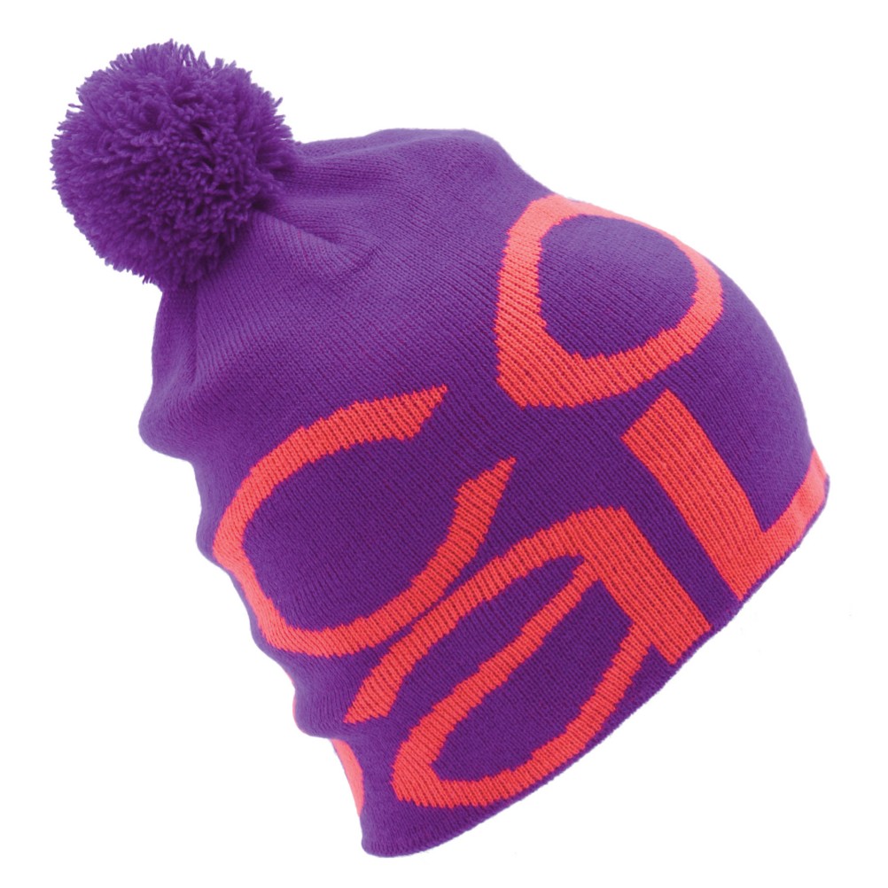 Coal Logo Ski Hat 2012