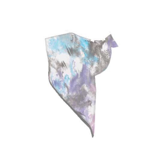 Seirus Neckwear