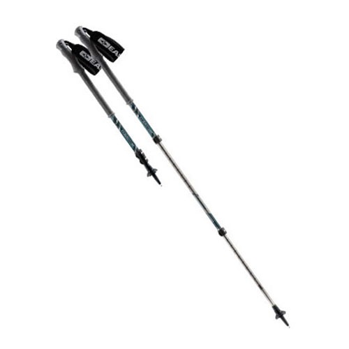 Easton Snowshoe Poles & Accessories