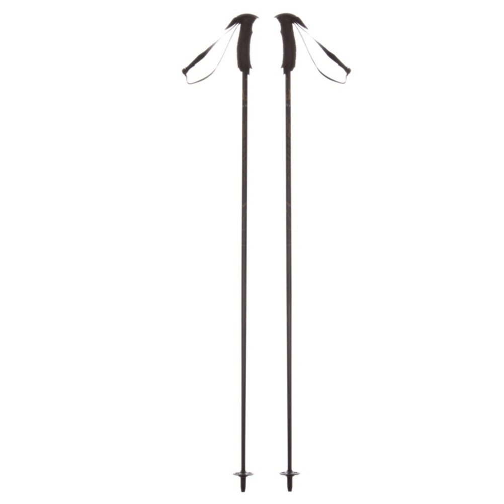 Swix Alpine Ski Poles