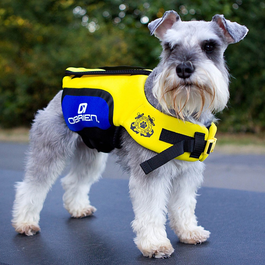 O'Brien Pet Vest 2012