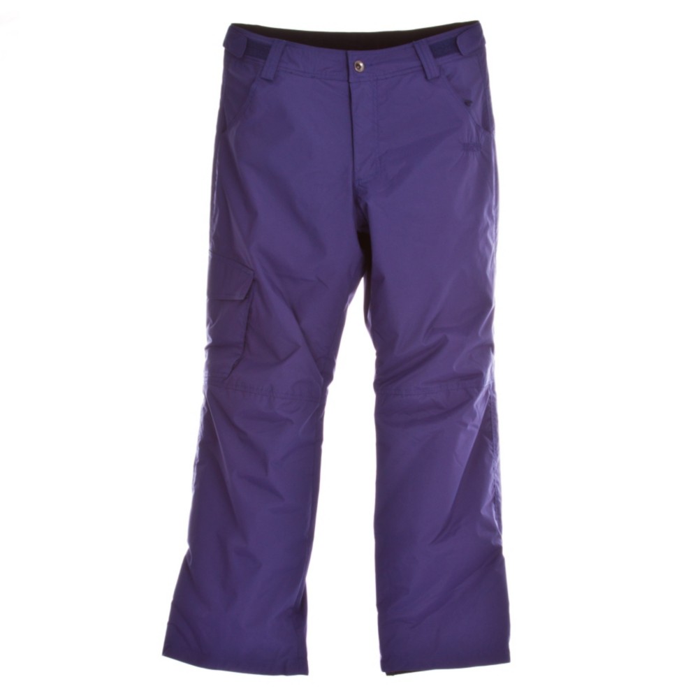 Orage Edgewood Mens Ski Pants, Deep Indigo, swatch
