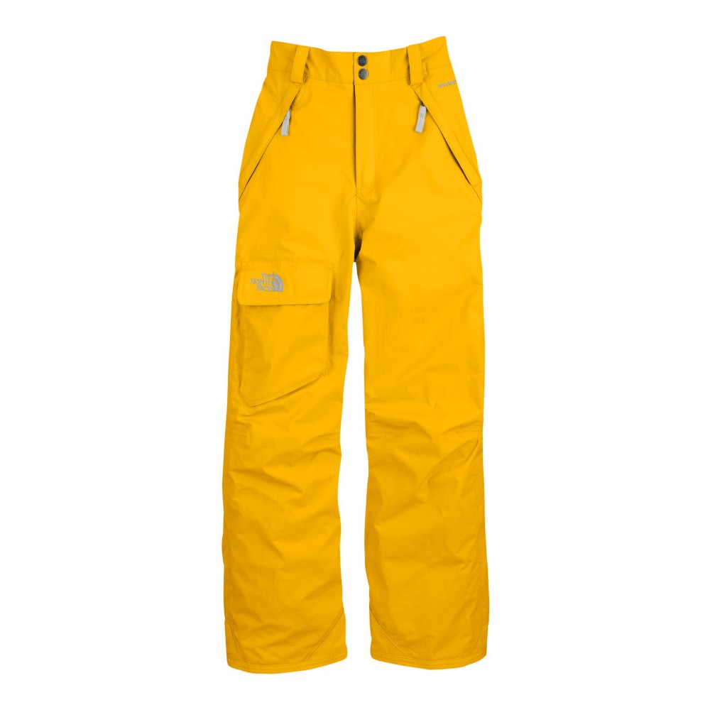 The North Face Freedom Insulated Kids Ski Pants, Leopard Yellow, swatch