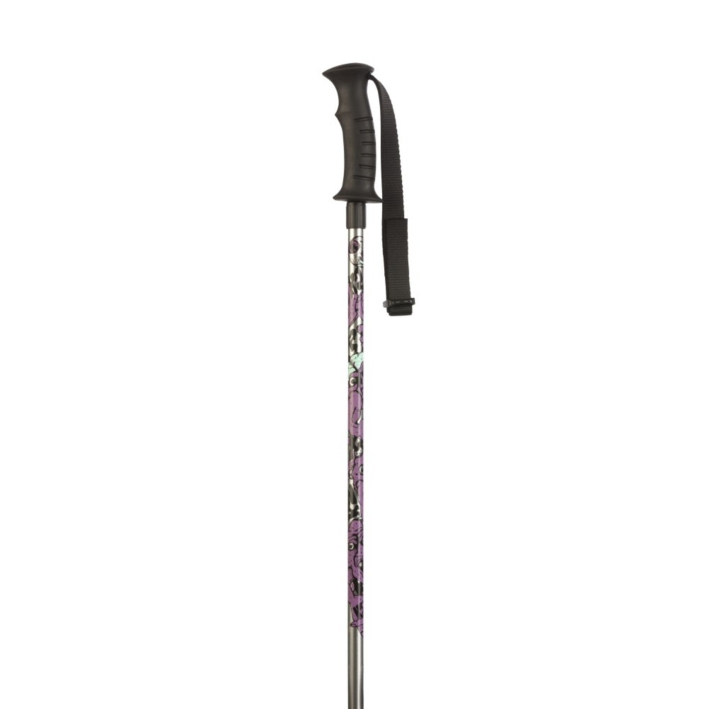 K2 Sprout Kids Ski Poles 2013, Silver, medium